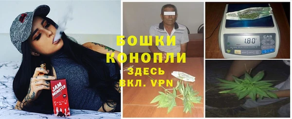 гашик Богородск