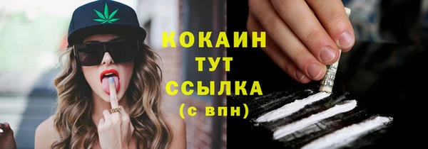 PSILOCYBIN Богородицк